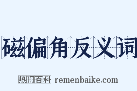 磁偏角反义词是什么意思的图片